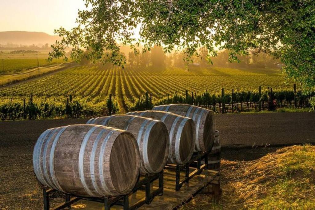 Hye The Container Retreat @ 290 Wine Trail #9 Get Away Today! מראה חיצוני תמונה